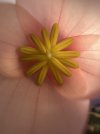 IMG_9295.jpeg