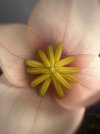 IMG_9290.jpeg