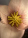 IMG_9289.jpeg
