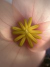 IMG_9287.jpeg