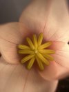 IMG_9288.jpeg