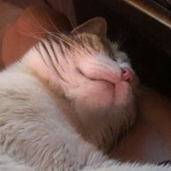 theallseeingmew